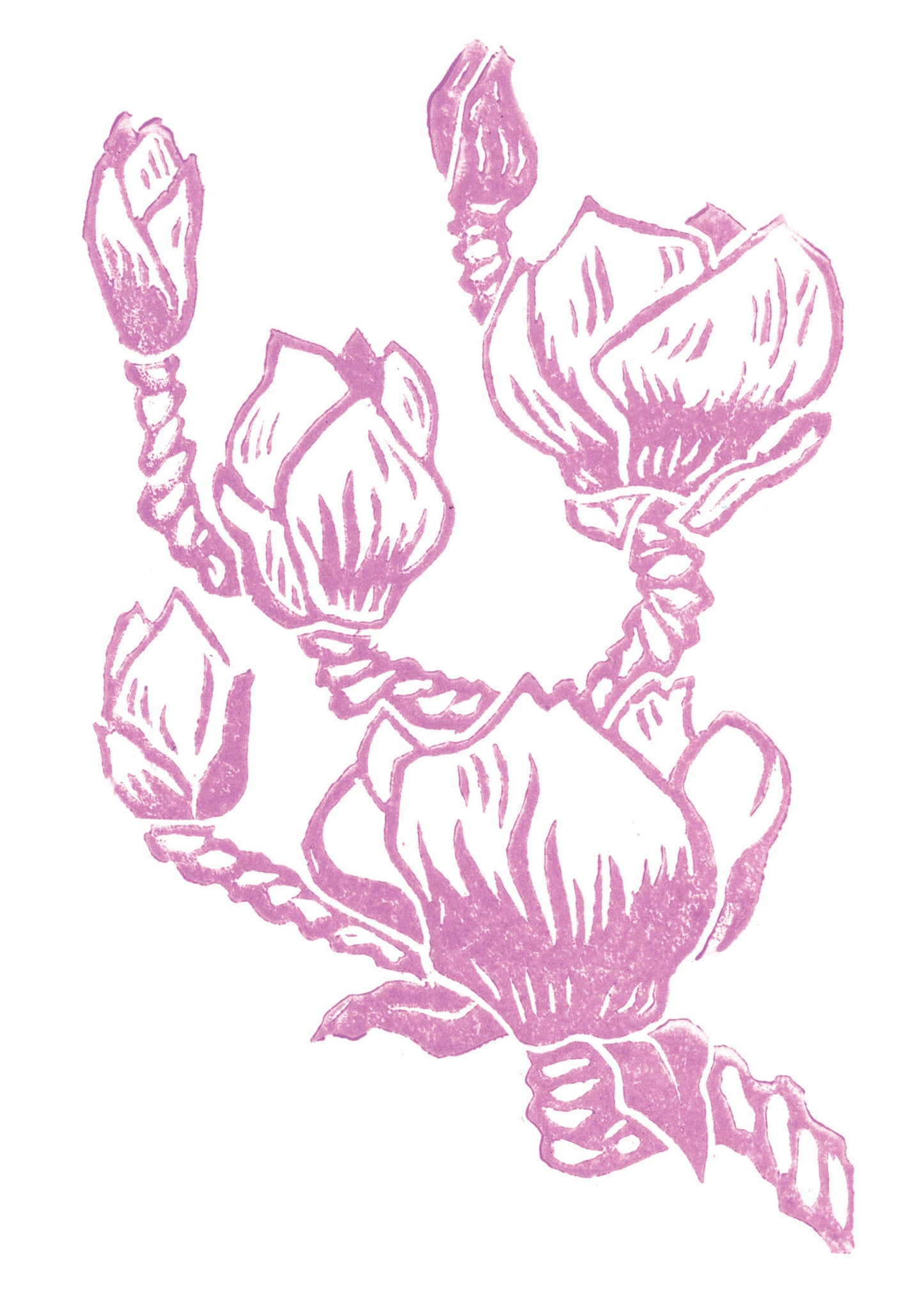 Magnolia Blossom Block Print