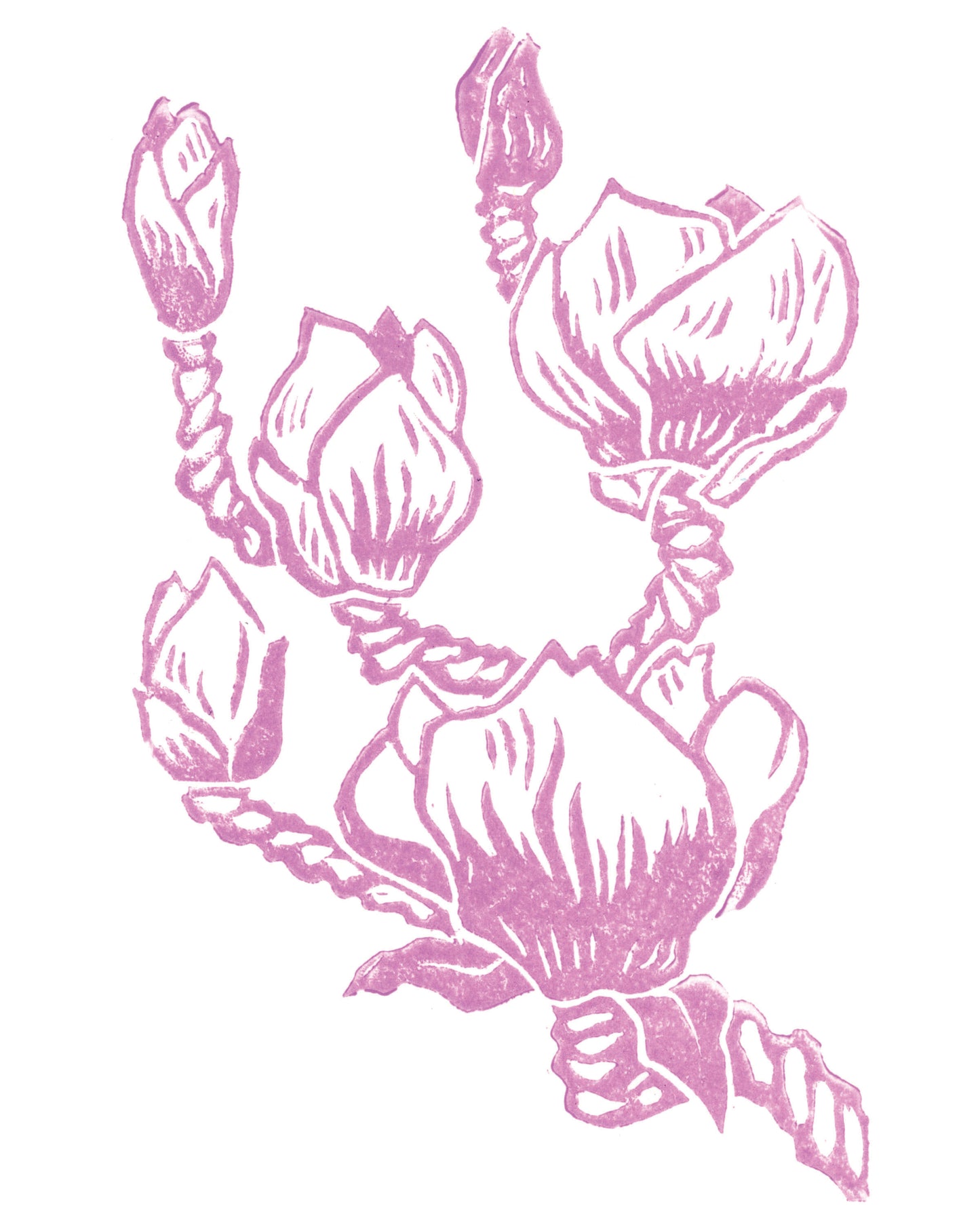 Magnolia Blossom Block Print