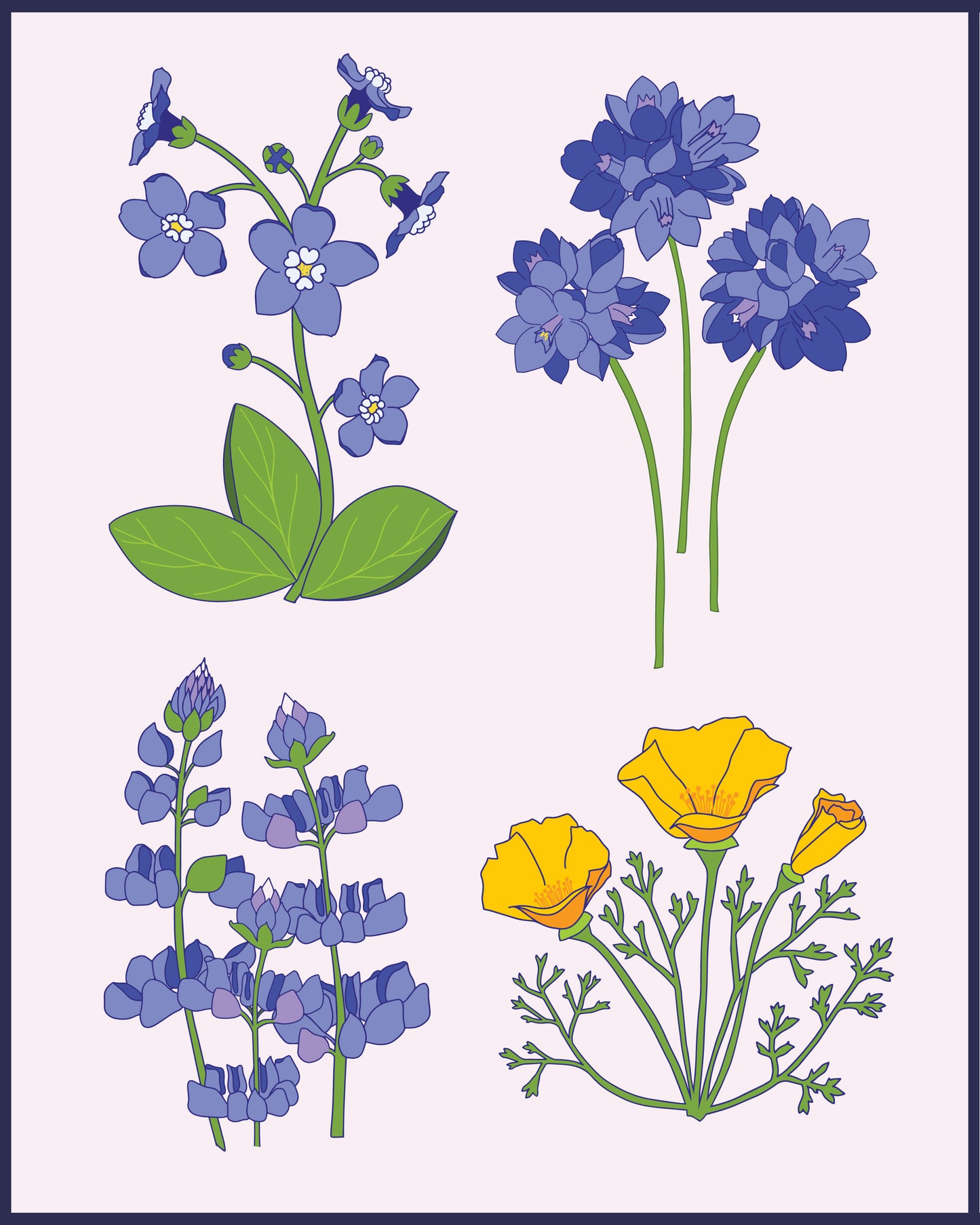 Giclée Art Print - California Wildflowers