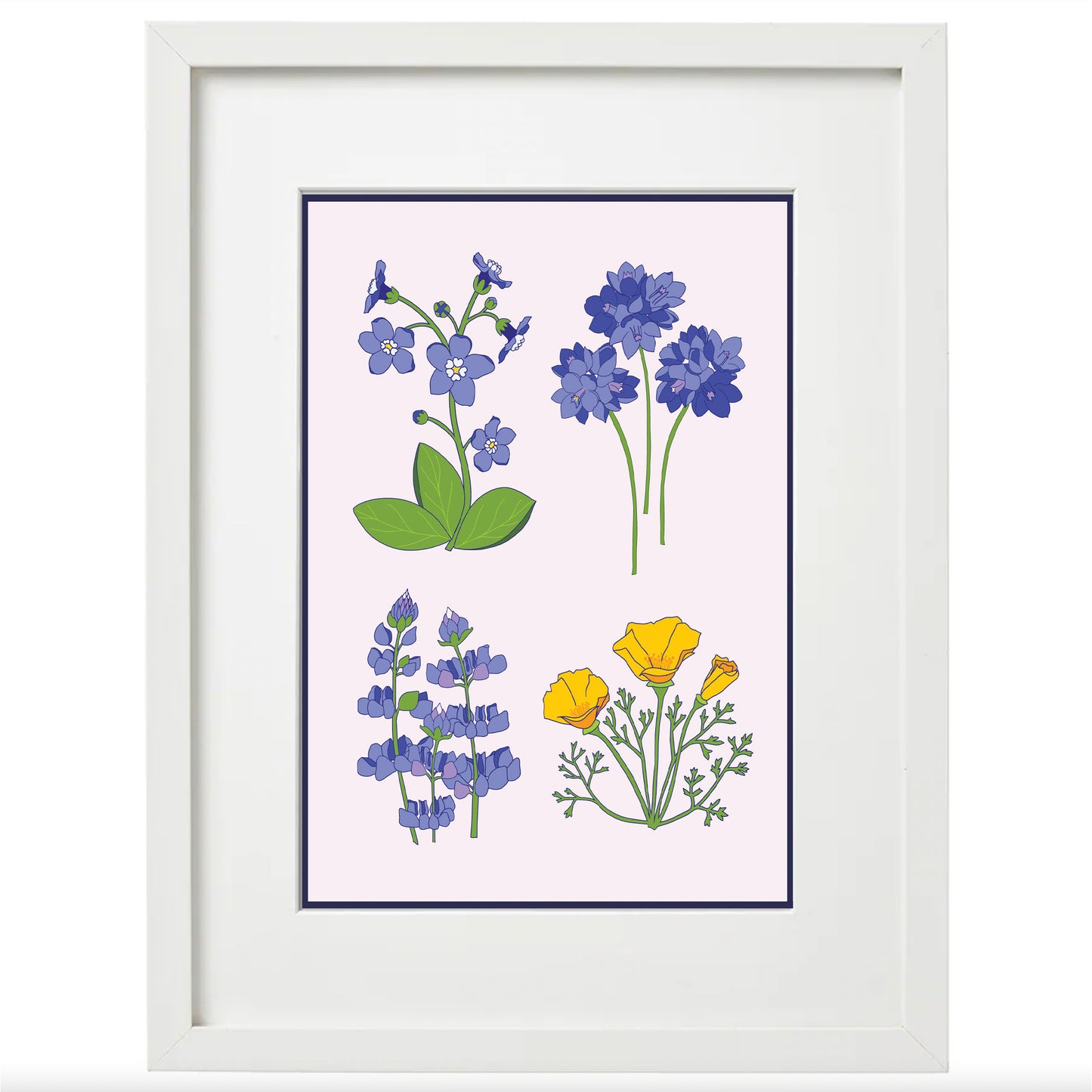 Giclée Art Print - California Wildflowers