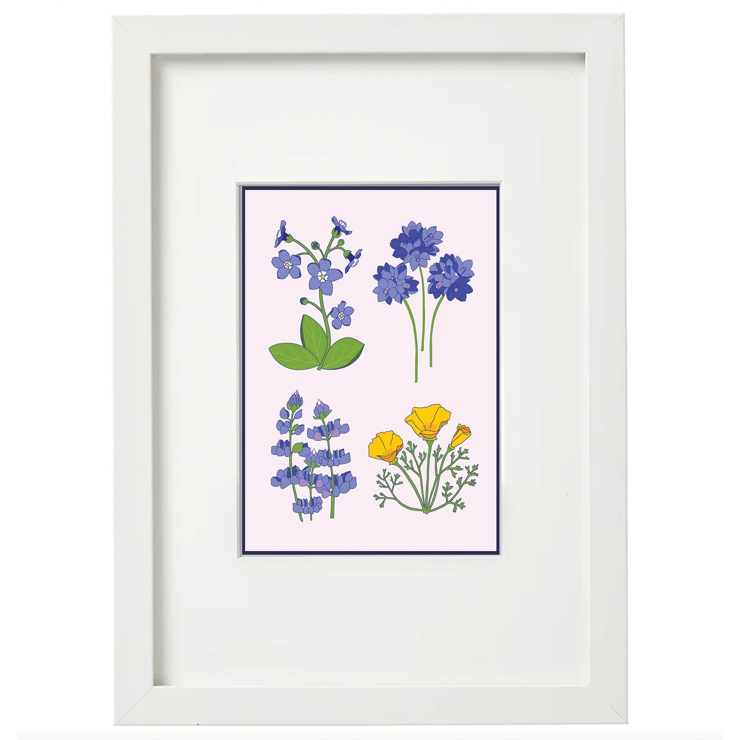 Giclée Art Print - California Wildflowers