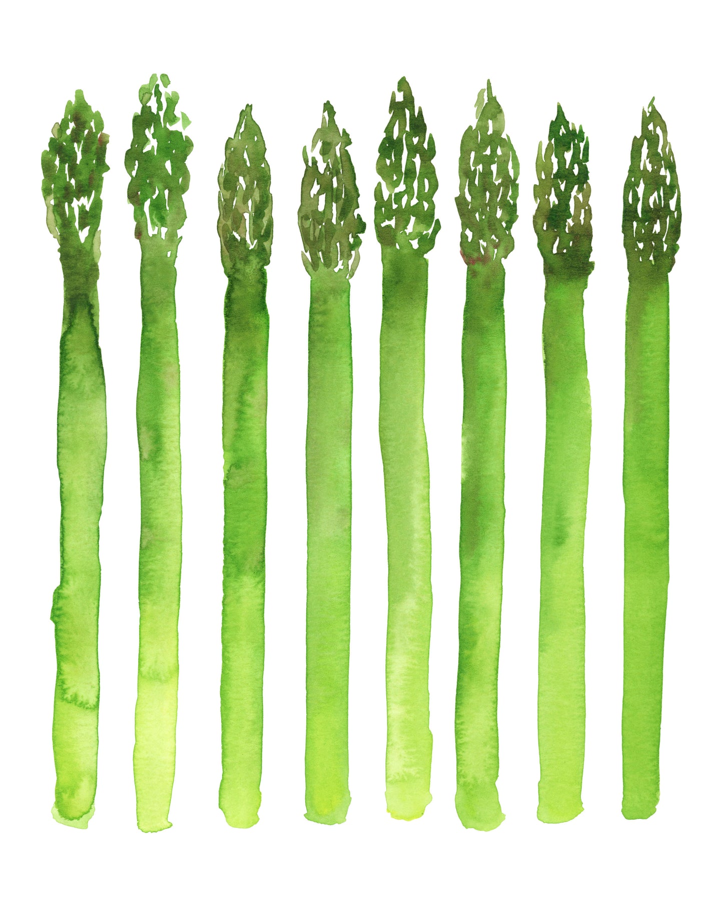 Watercolor Asparagus Giclée Print