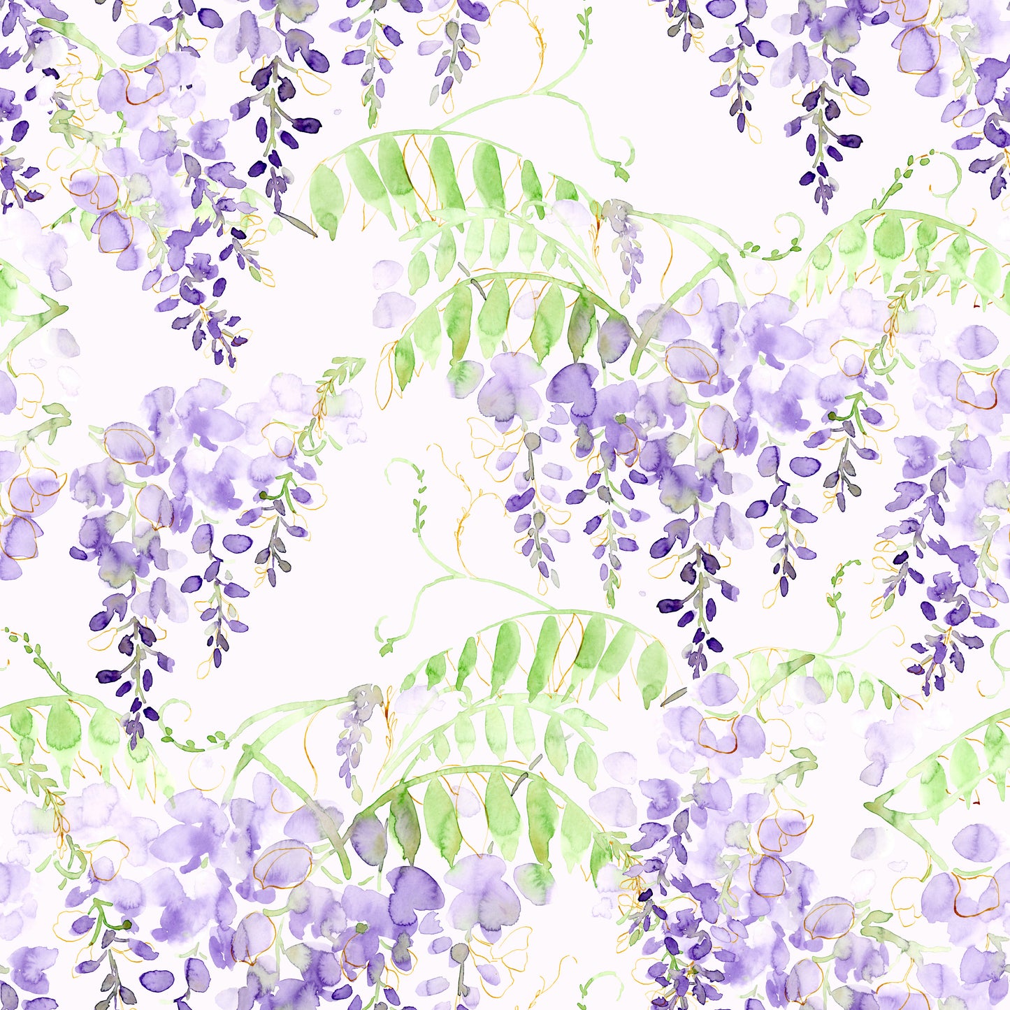Wisteria