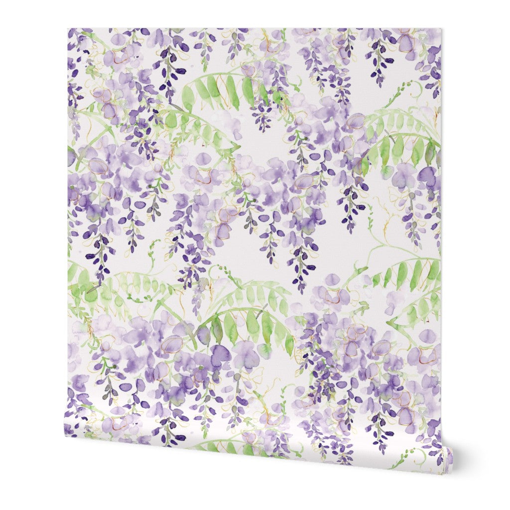 Wisteria