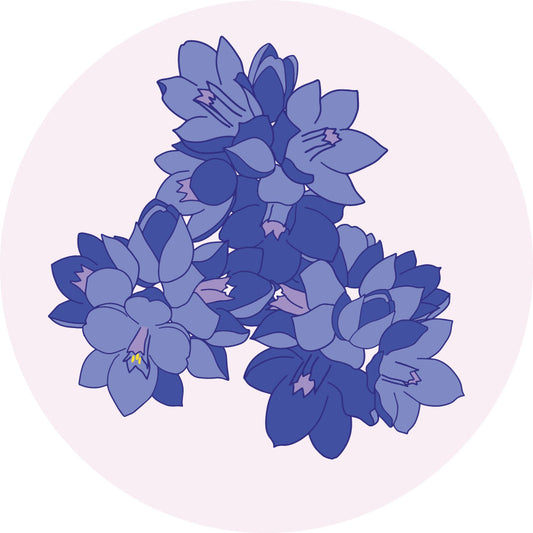 3" Round Vinyl Sticker - Blue Dick Wildflower