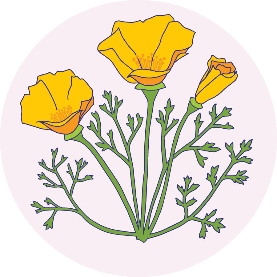 3" Round Vinyl Sticker - California poppy