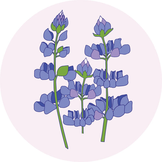 3" Round Vinyl Sticker - Lupine