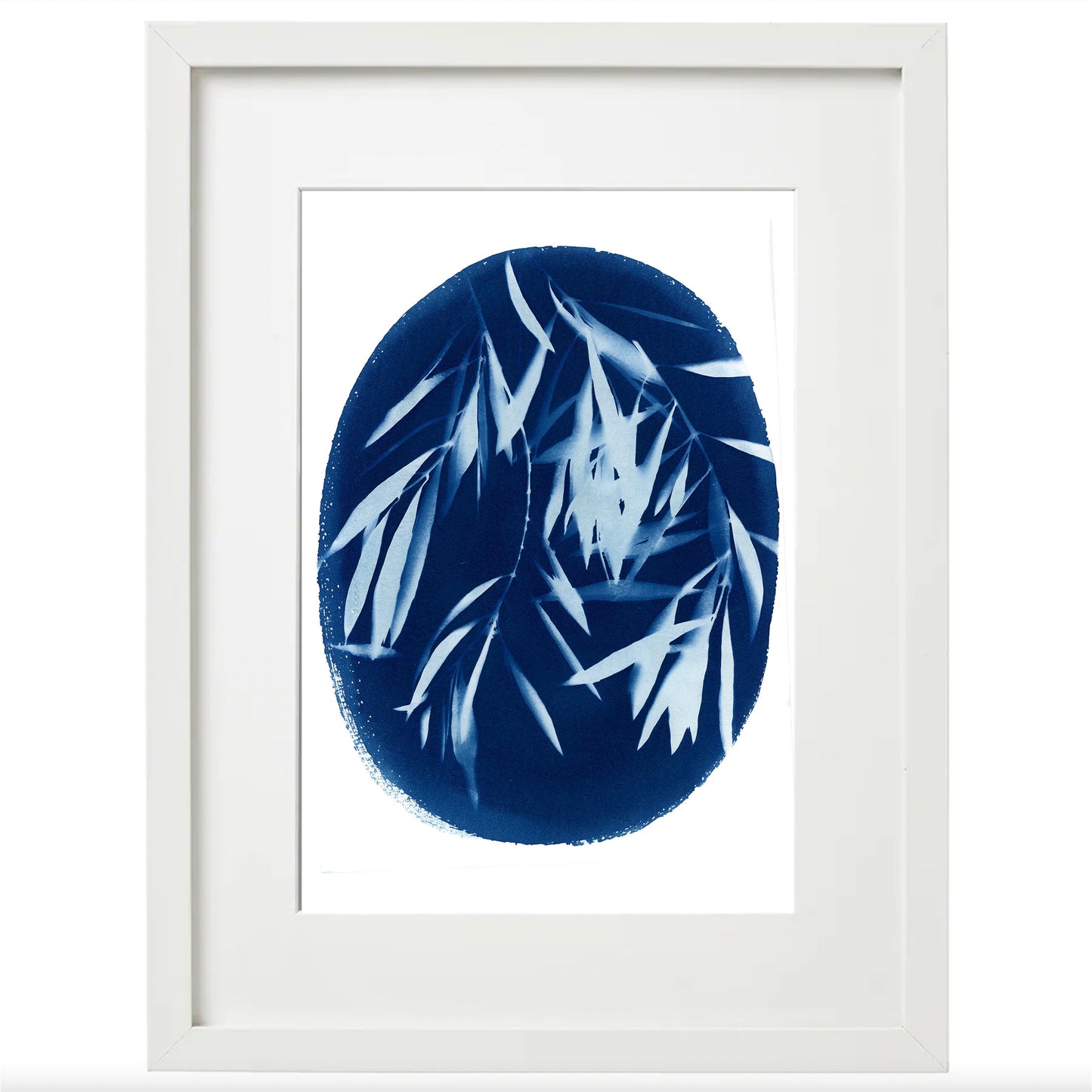 Cyanotype Botanical Art Print - Olive Branch