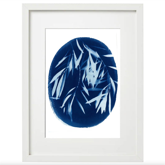 Cyanotype Botanical Art Print - Olive Branch