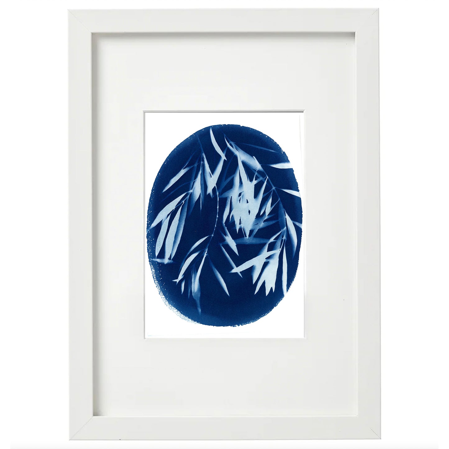 Cyanotype Botanical Art Print - Olive Branch