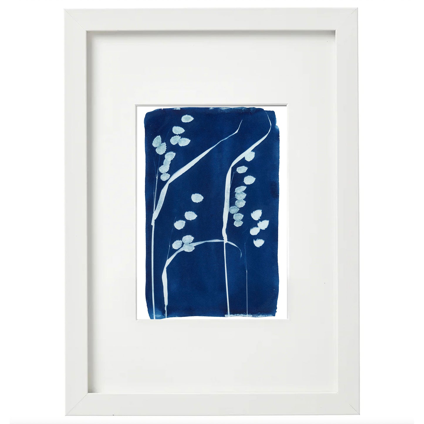 Cyanotype Botanical Art Print - Rattlesnake Grass