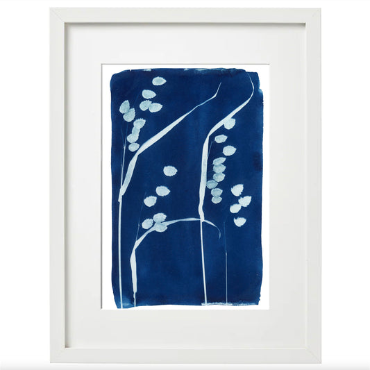 Cyanotype Botanical Art Print - Rattlesnake Grass