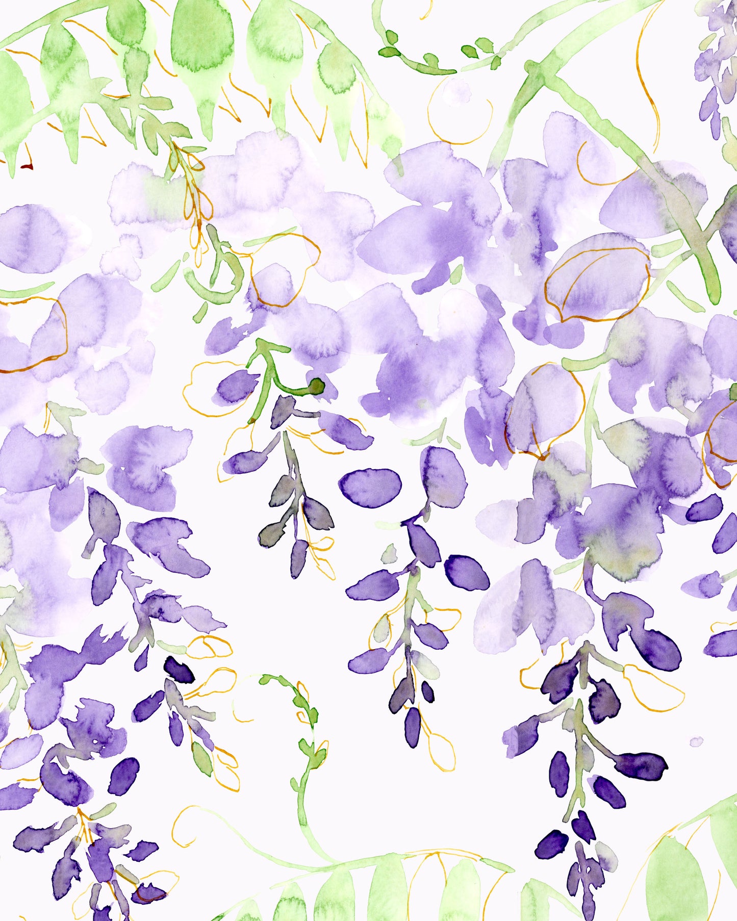 Wisteria Study Giclée Print